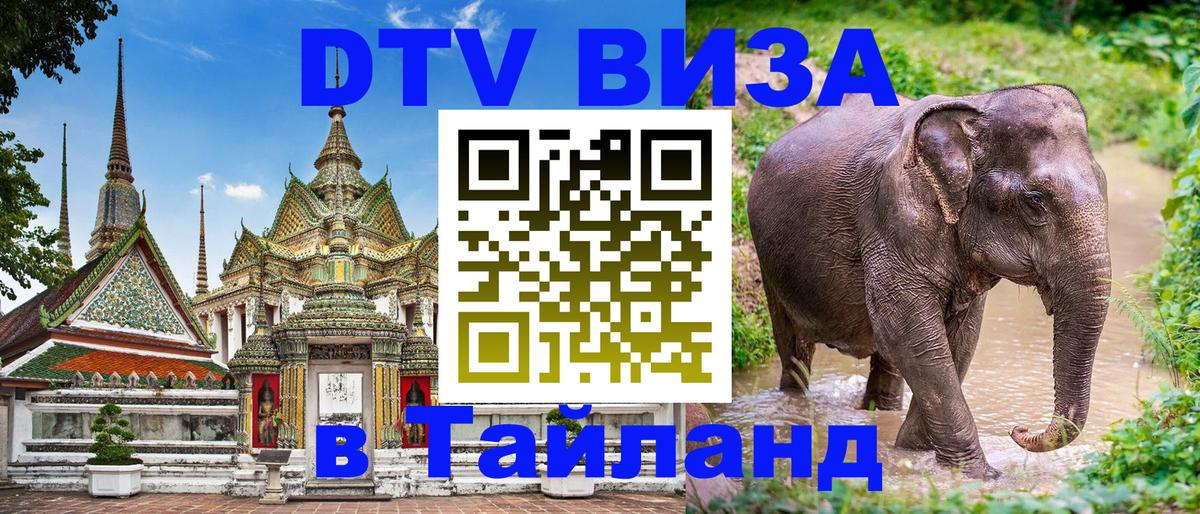 Оформление DTV визы под ключ: стоимость и тарифы, только загранпаспорт - 05.10.2025 